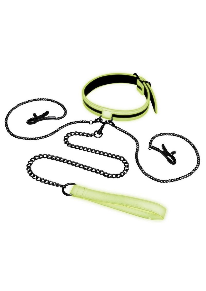 WhipSmart Glow in the Dark Collar with Nipple Clips & Leash