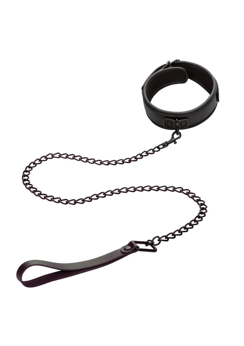 Nocturnal Collection Collar & Leash