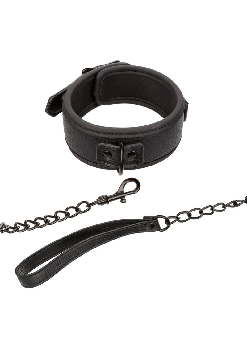 Nocturnal Collection Collar & Leash