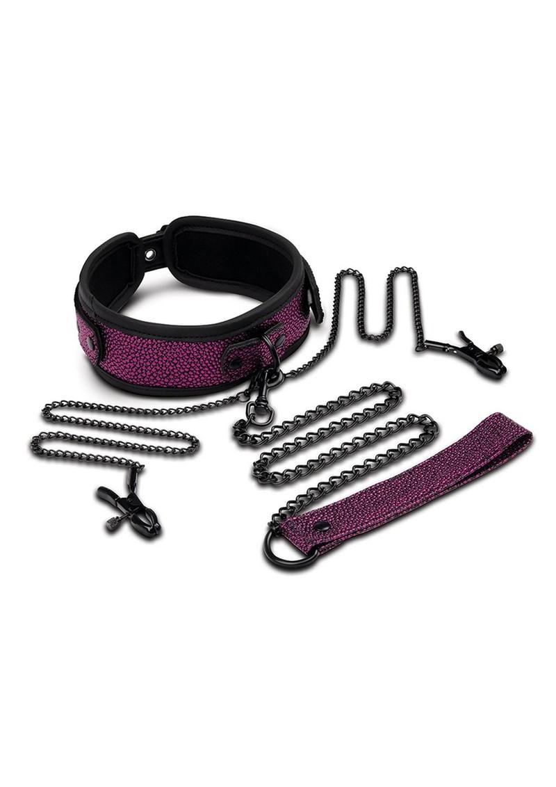 WhipSmart Dragon's Lair Collar, Leash & Nipple Clips Set